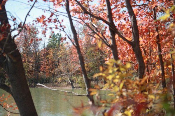 Product picture Nature