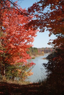 Product picture Nature