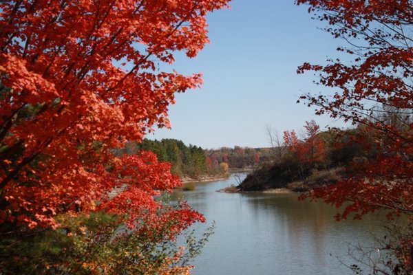 Product picture Nature