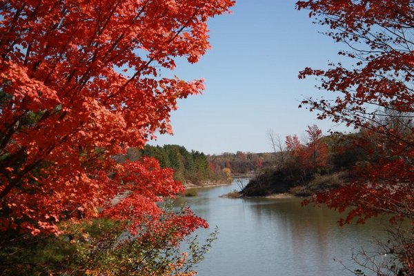 Product picture Nature